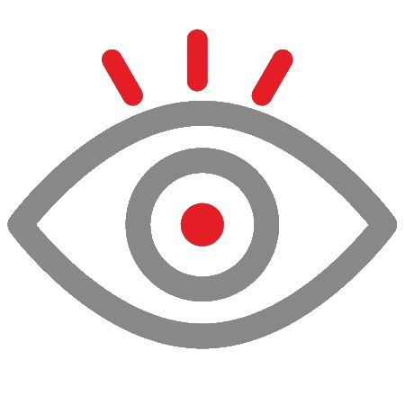 Vision Icon
